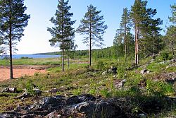 Najbardziej na północ wysunięty skrawek Bałtyku (Zatoka Botnicka) Finlandia