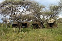  Obóz na serengeti