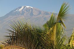  Kilimanjaro