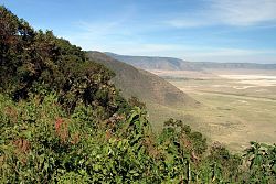  PN Ngorongoro